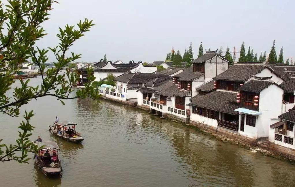 生化危机：浣熊市行动